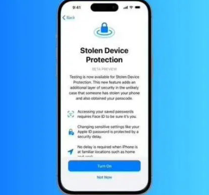 温州苹果授权维修店分享被盗设备保护功能开启方法 