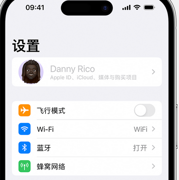 温州appleID维修服务iPhone设置中Apple ID显示为灰色无法使用 