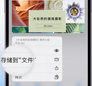 温州apple维修中心分享iPhone文件应用中存储和找到下载文件