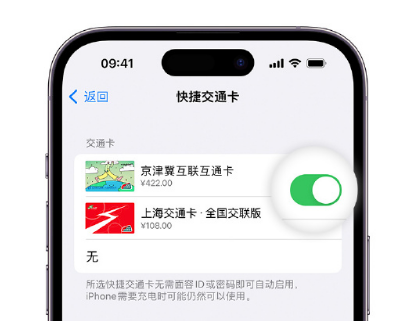 温州apple维修点分享iPhone上更换Apple Pay快捷交通卡手绘卡面 