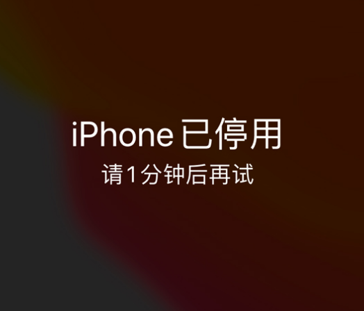 温州苹果手机维修分享:iPhone 显示“不可用”或“已停用”怎么办？还能保留数据吗？ 