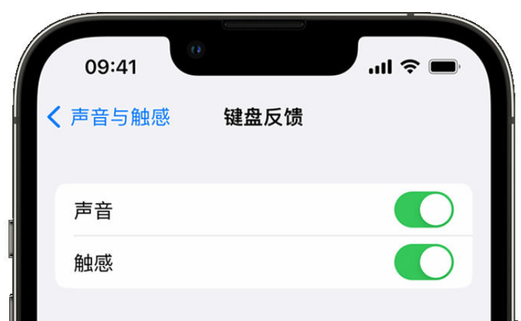 温州苹果手机维修分享iPhone 14触感键盘使用方法 