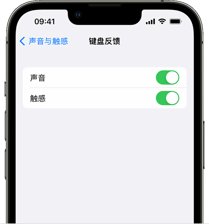 温州苹果14维修店分享如何在 iPhone 14 机型中使用触感键盘 