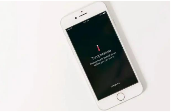 温州苹果手机维修分享iPhone 手机发热如何快速降温 