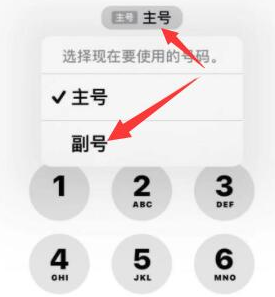 温州苹果14维修店分享iPhone 14 Pro Max使用副卡打电话的方法 