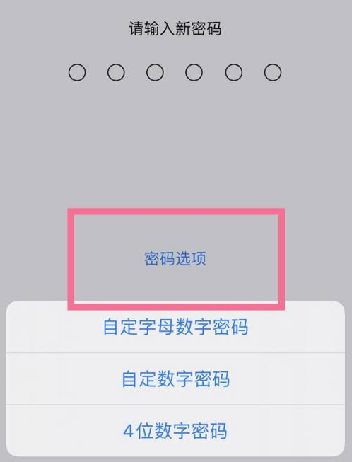 温州苹果14维修分享iPhone 14plus设置密码的方法 