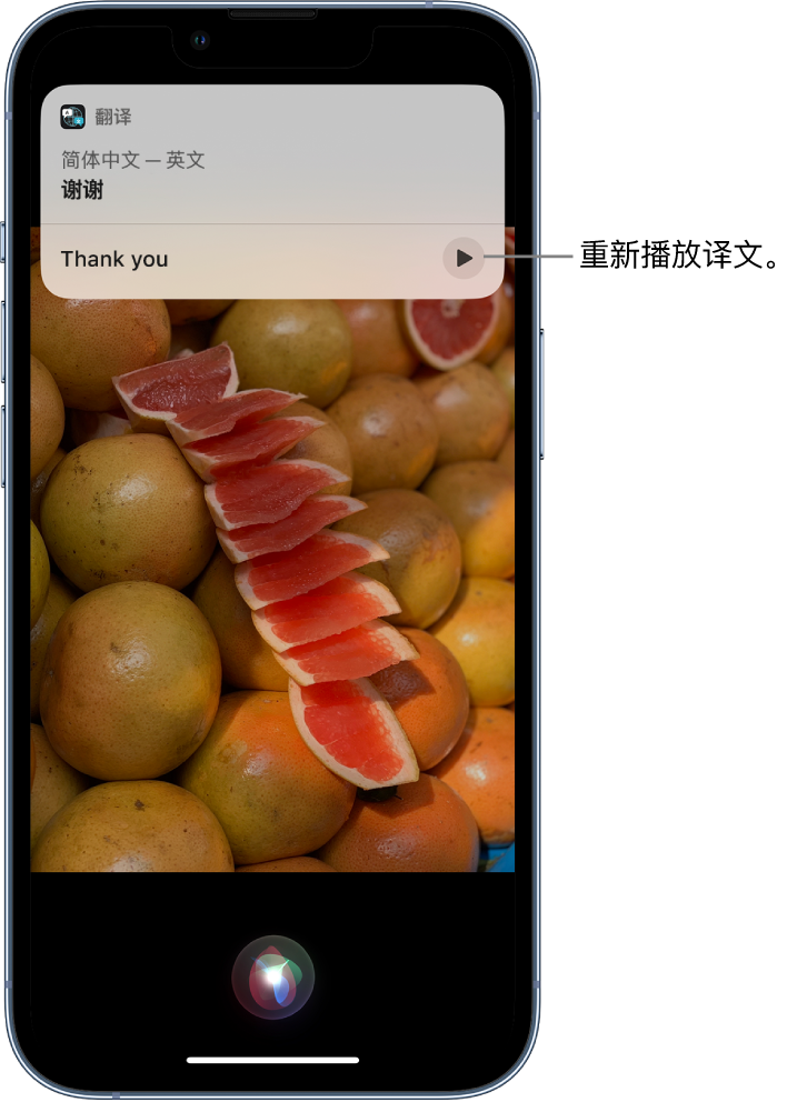 温州苹果14维修分享 iPhone 14 机型中使用 Siri：了解 Siri 能帮你做什么 