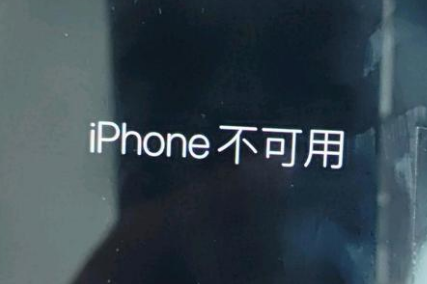 温州苹果服务网点分享锁屏界面显示“iPhone 不可用”如何解决 