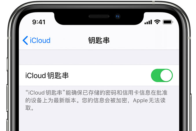 温州苹果手机维修分享在 iPhone 上开启 iCloud 钥匙串之后会储存哪些信息 